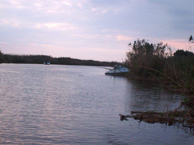 delta rosu 2010 - sany1227.JPG